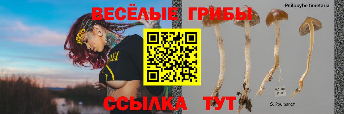 Псилоцибиновые грибы Cubensis  Галлюциногенные грибы MAGIC MUSHROOMS  Лениногорск  Вход с VPN 