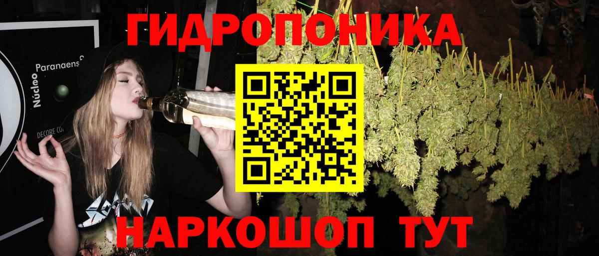 Бошки марихуана индика  Каннабис план  Вход с VPN  Конопля план  Каннабис гибрид  Лениногорск 